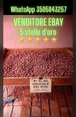 Nocciole guscio appena - guscio,