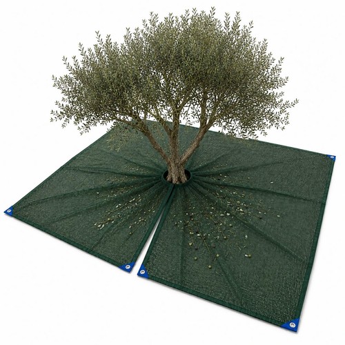 Telo rete raccolta olive - rete,
