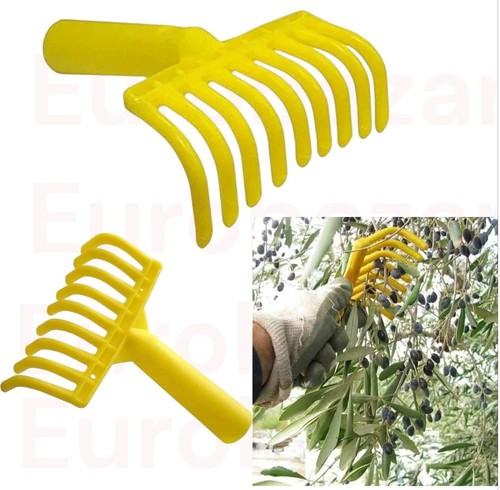 Rastrello denti manina - denti,